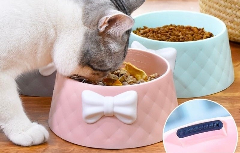 Glowli™ Pet Bow Bowl