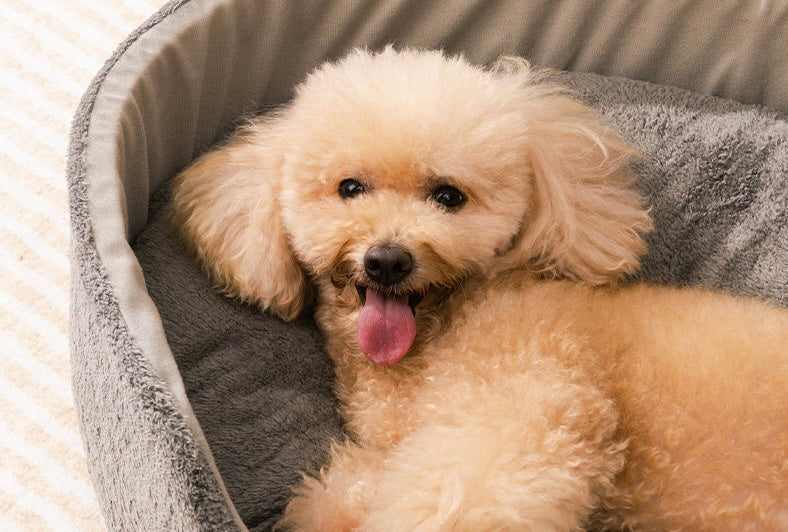 Glowli Pets™ Deep Sleep Nest – Bunny Ears Edition