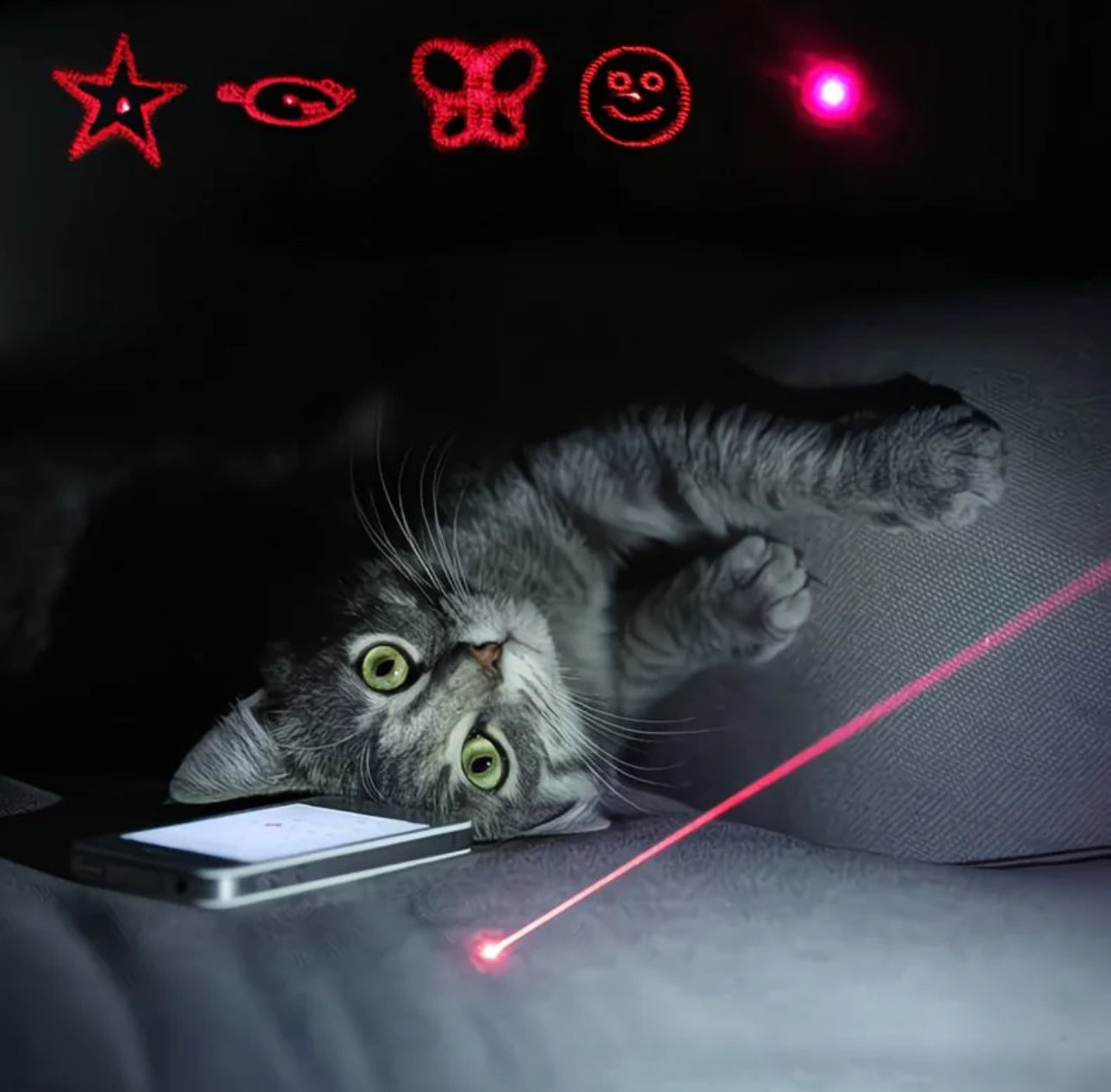 Glowli Calm Play Laser Wand for Cats