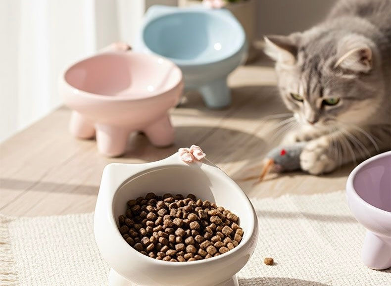 Glowli™ Pastel Ceramic Pet Bowl