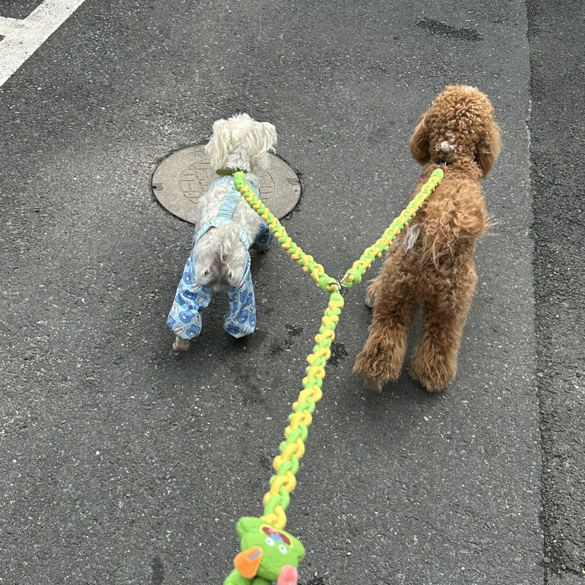 Glowli Double Walk Leash