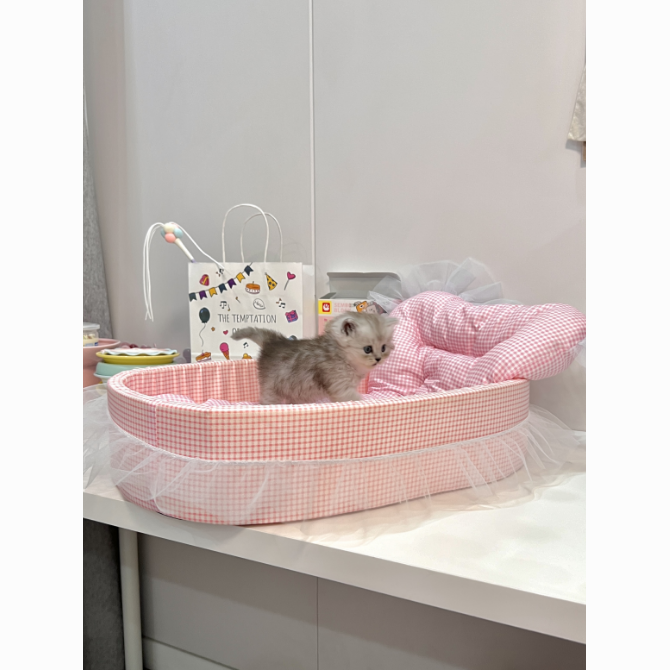 Glowli™ Gingham Lace Pet Bed