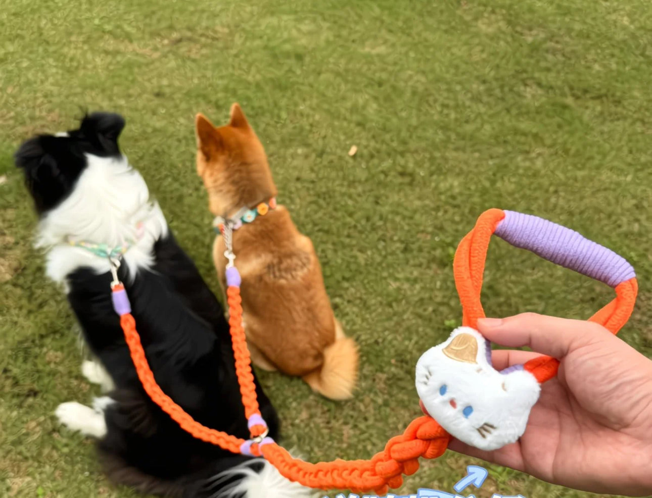 Glowli Double Walk Leash