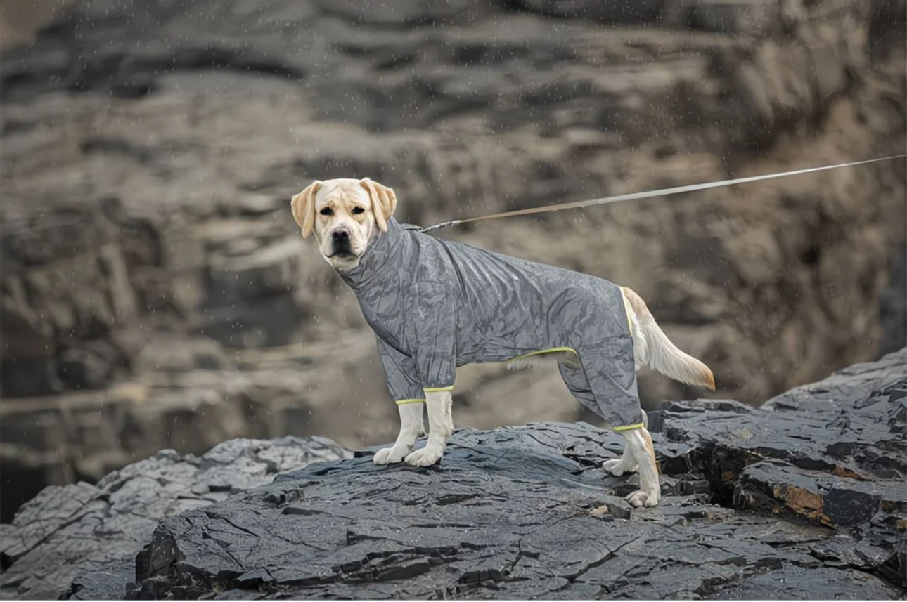 Glowli StormGuard Reflective Rain Suit