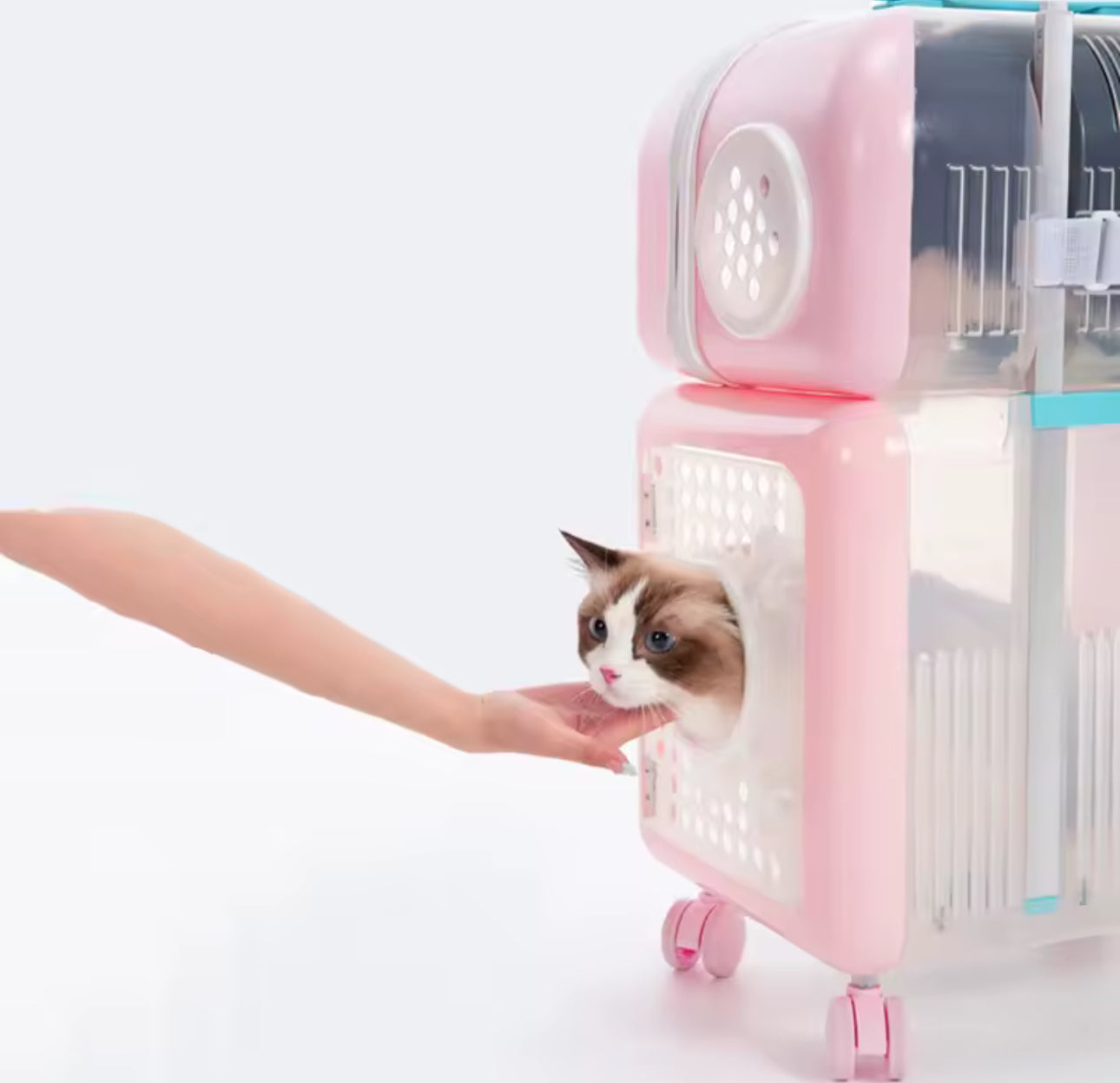 Glowli Pets™ Cloud Cabin Travel Carrier