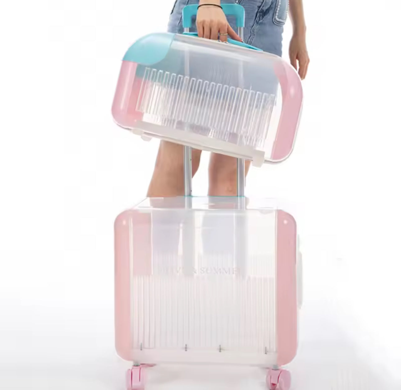 Glowli Pets™ Cloud Cabin Travel Carrier