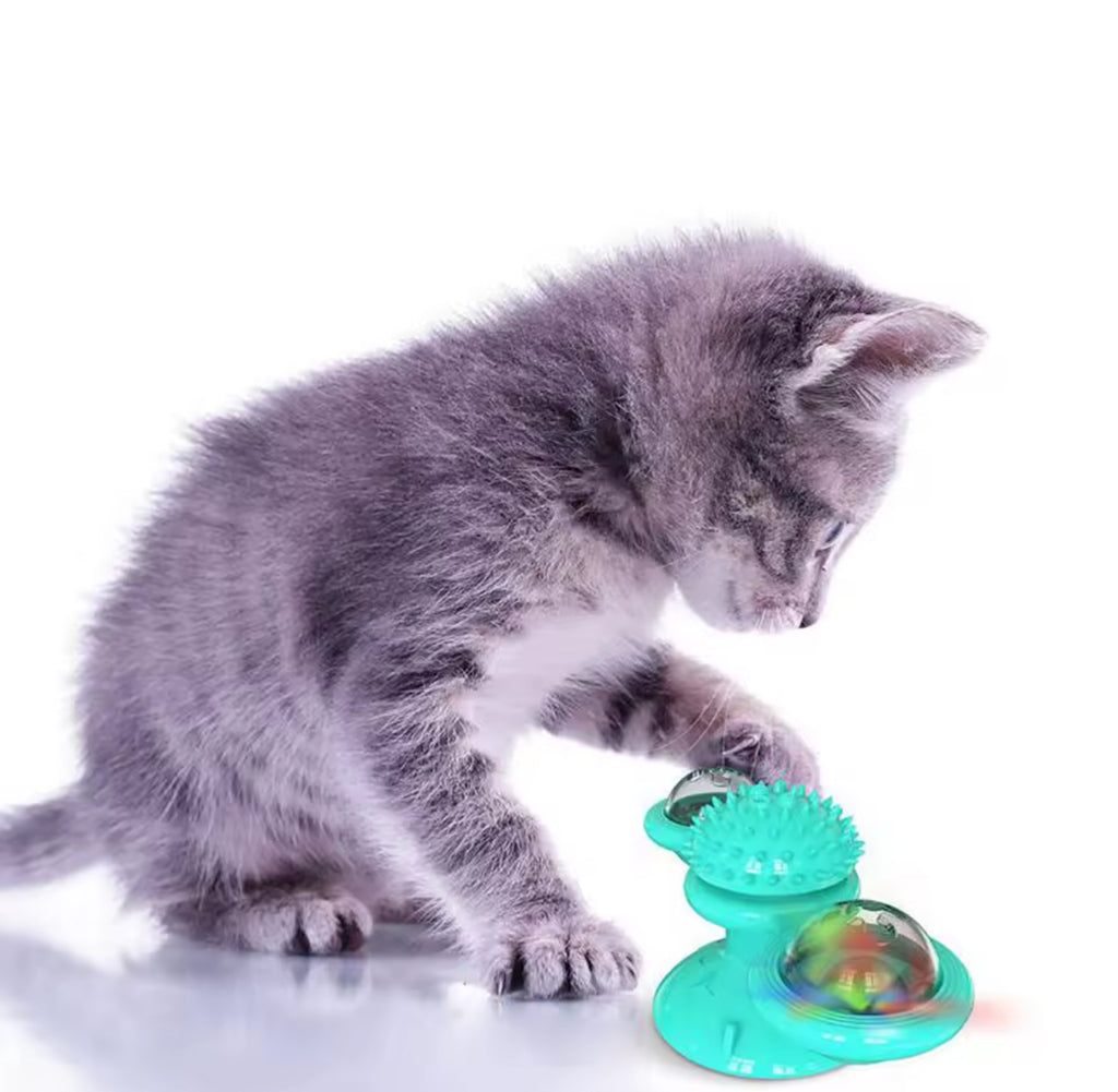 Glowli SpinPlay™ Pet Toy