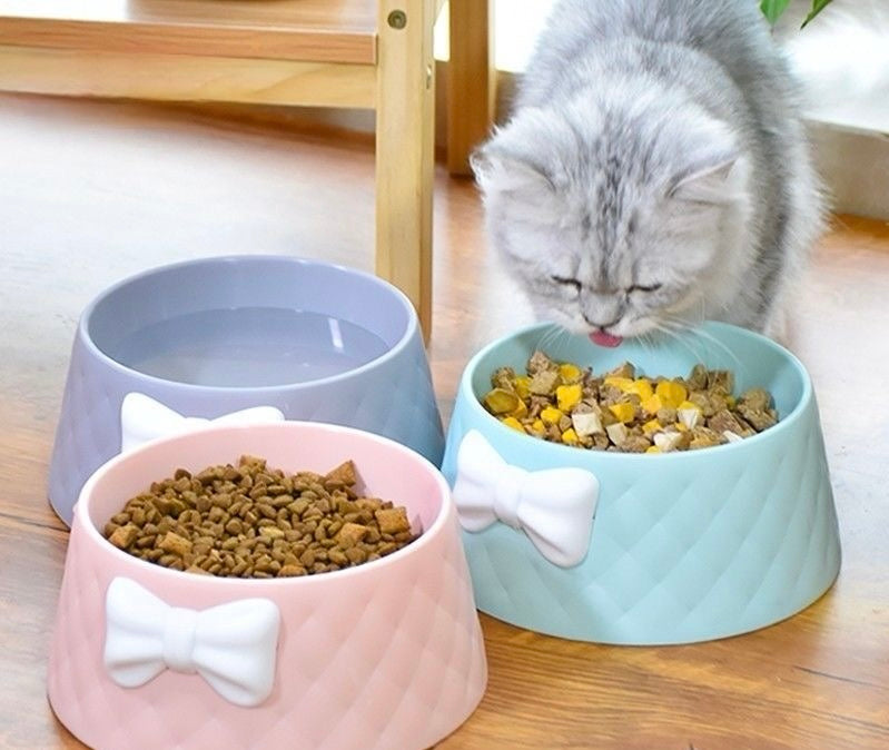 Glowli™ Pet Bow Bowl