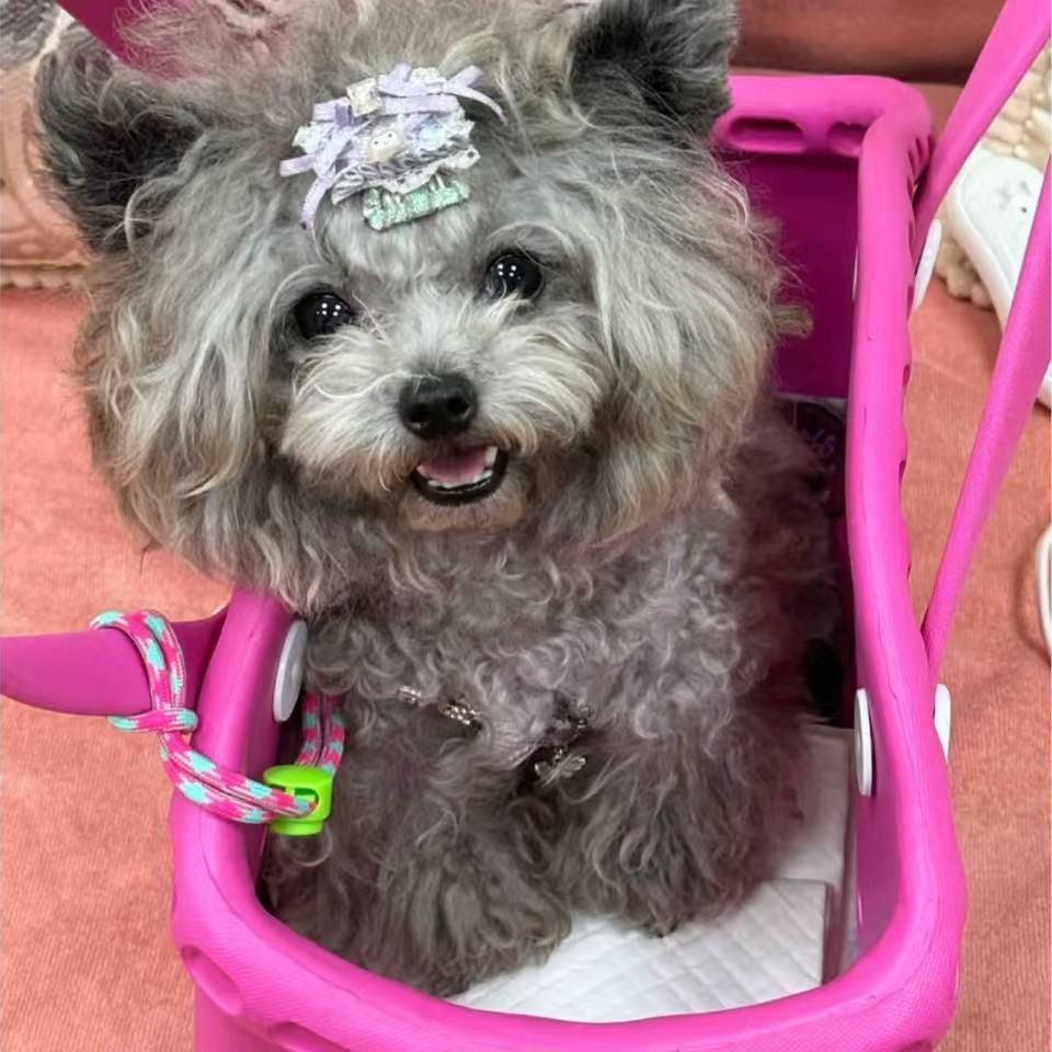 Glowli™ Soft Jelly Tote Bag