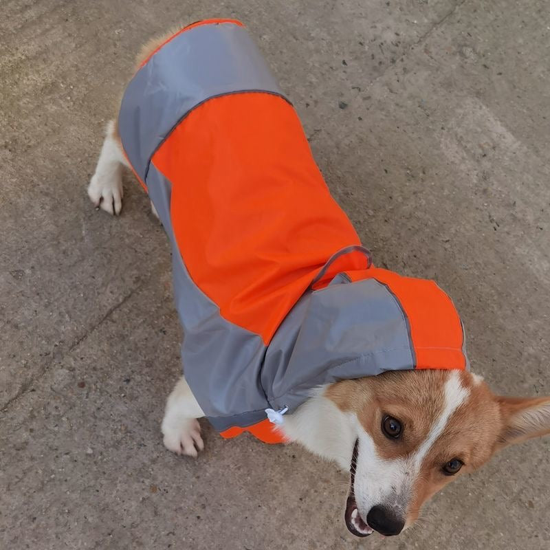 Glowli Reflective Pet Raincoat