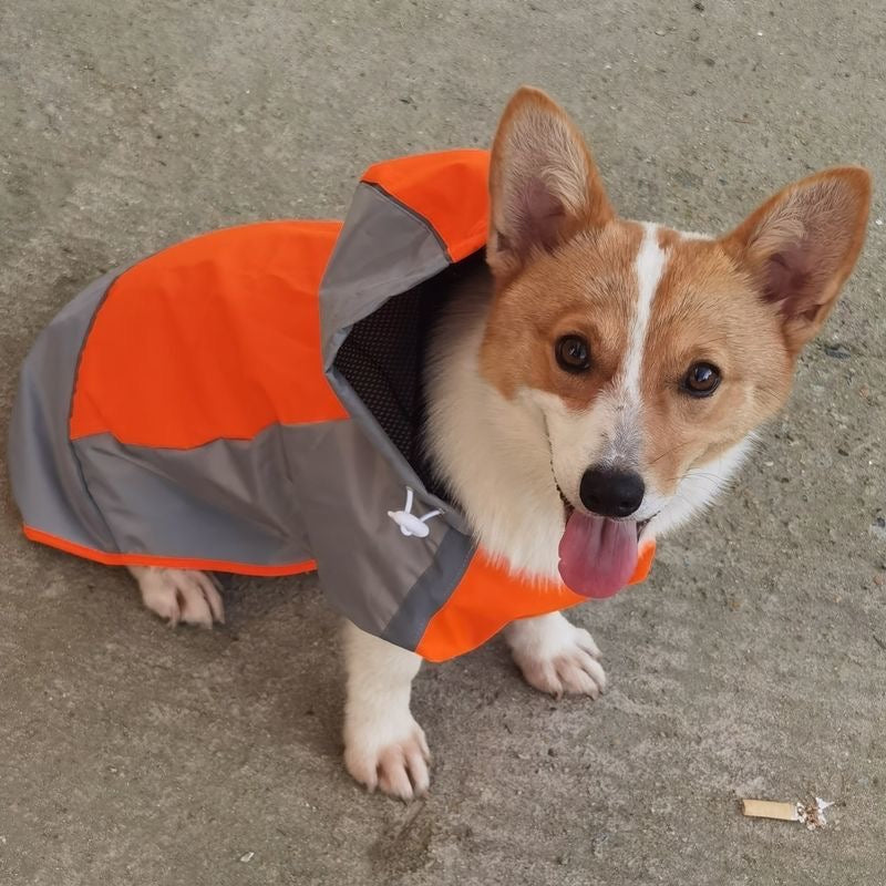 Glowli Reflective Pet Raincoat