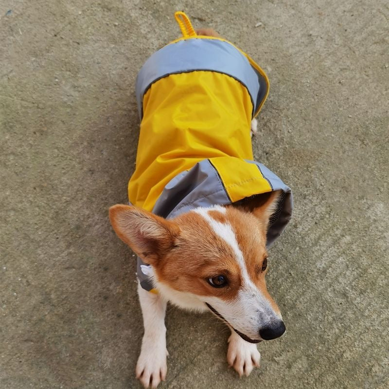 Glowli Reflective Pet Raincoat