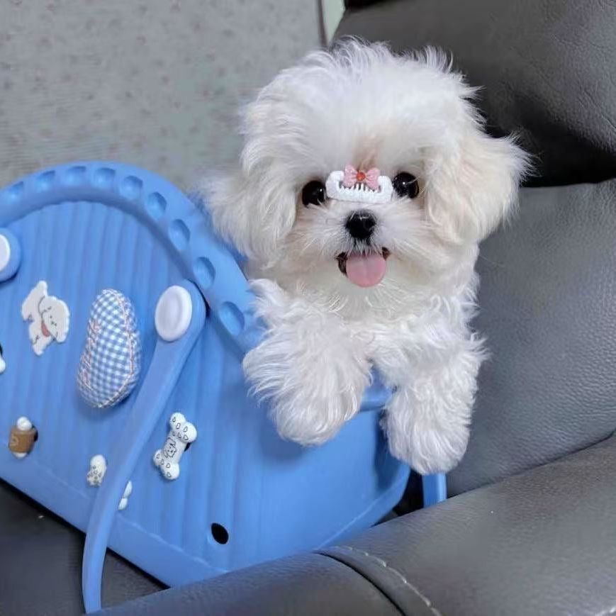 Glowli™ Soft Jelly Tote Bag