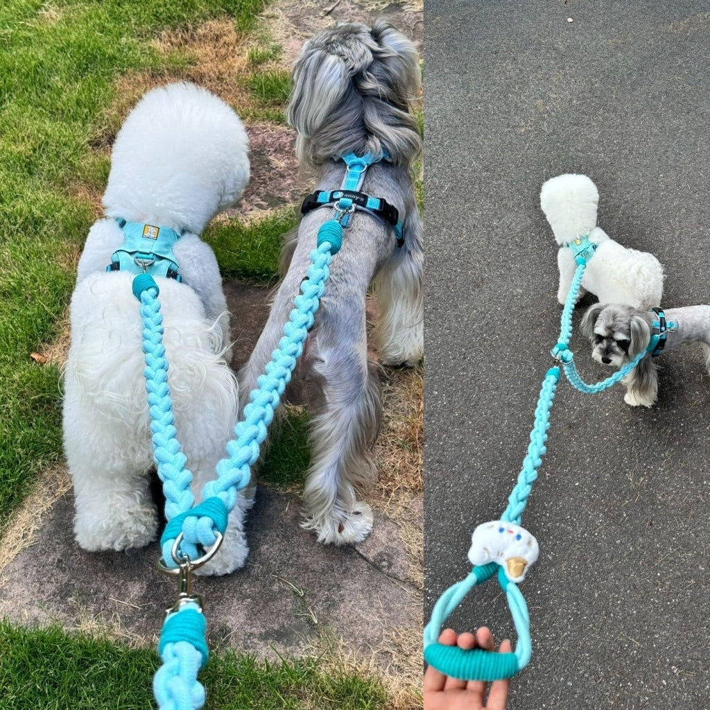 Glowli Double Walk Leash