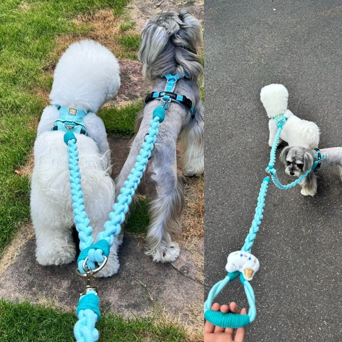 Glowli Double Walk Leash