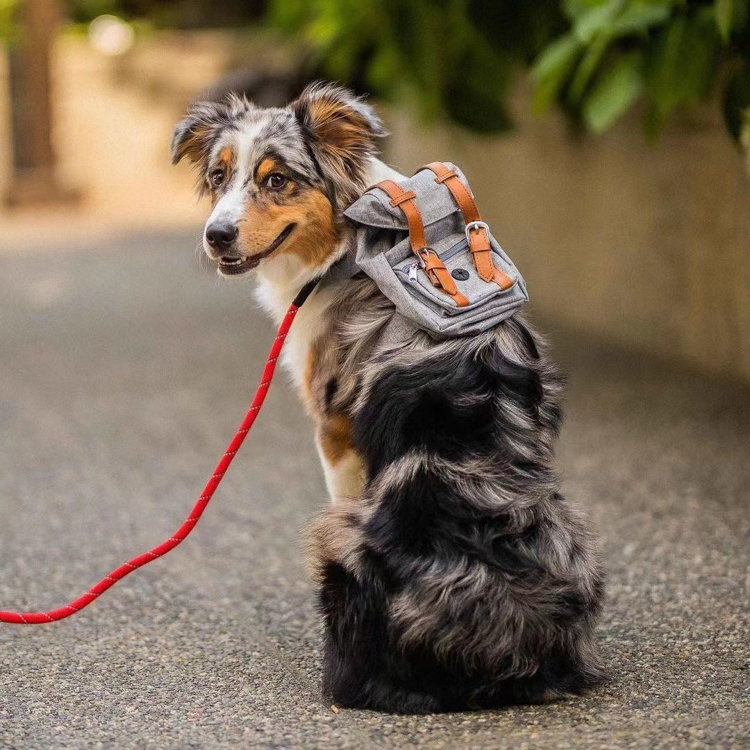 Glowli Pet Explorer Backpack