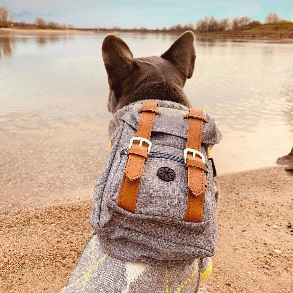 Glowli Pet Explorer Backpack