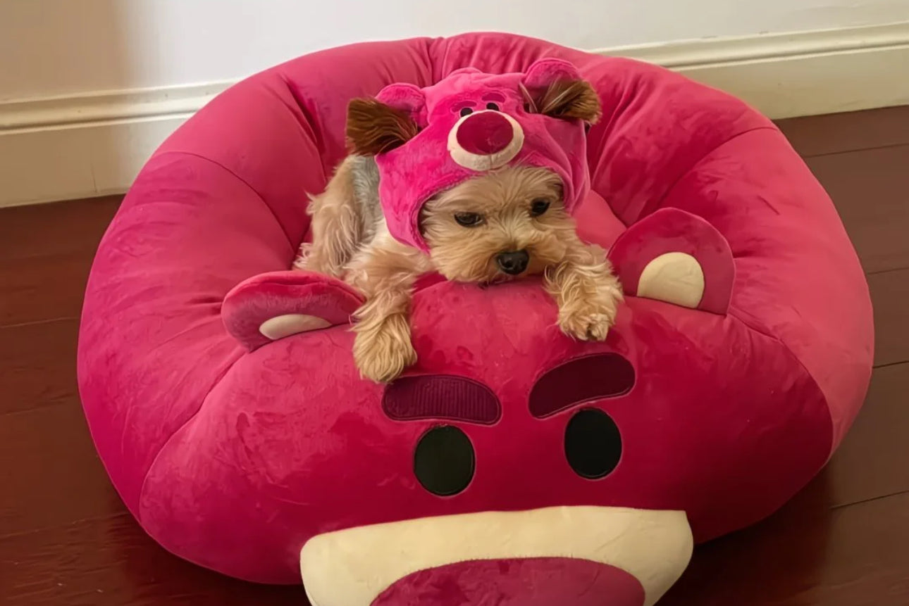 BerryBear™ Plush Pet Bed Set