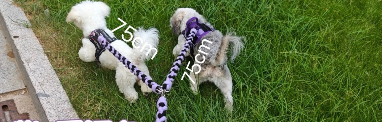 Glowli Double Walk Leash